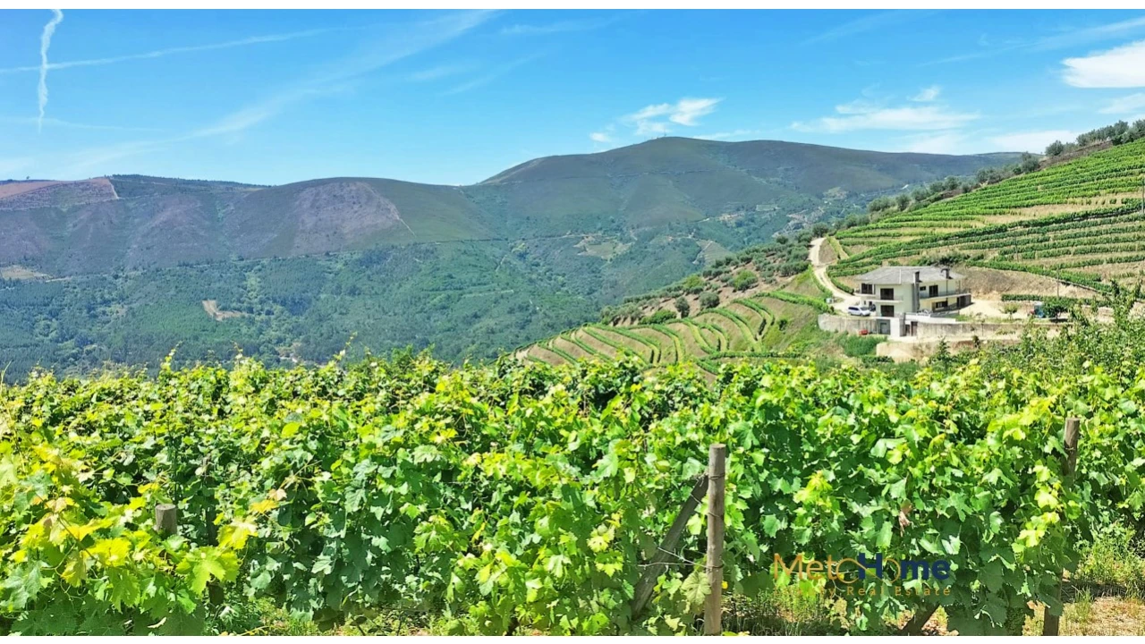 Terreno para Venda em Provesende, Gouvães Douro, São Cristóvão Douro Foto 17