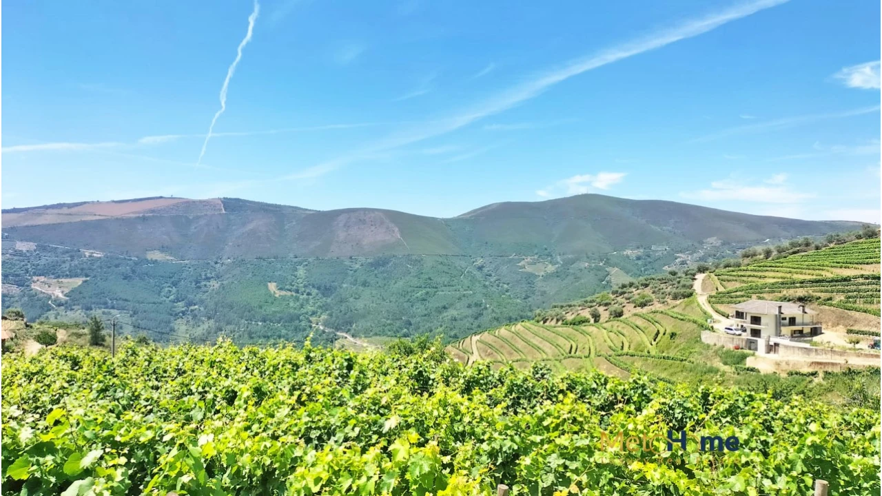 Terreno para Venda em Provesende, Gouvães Douro, São Cristóvão Douro Foto 18