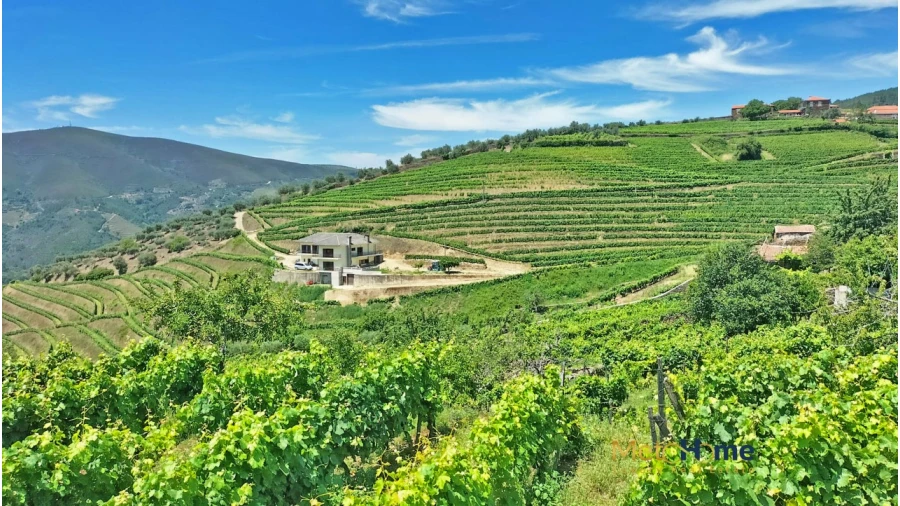 Terreno para Venda em Provesende, Gouvães Douro, São Cristóvão Douro Foto 9