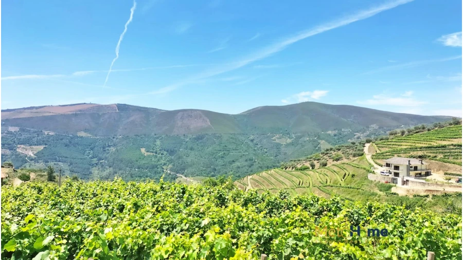 Terreno para Venda em Provesende, Gouvães Douro, São Cristóvão Douro Foto 18