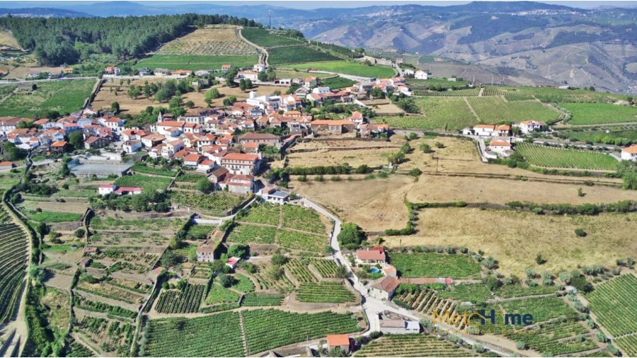 Terreno para Venda em Provesende, Gouvães Douro, São Cristóvão Douro Foto 19