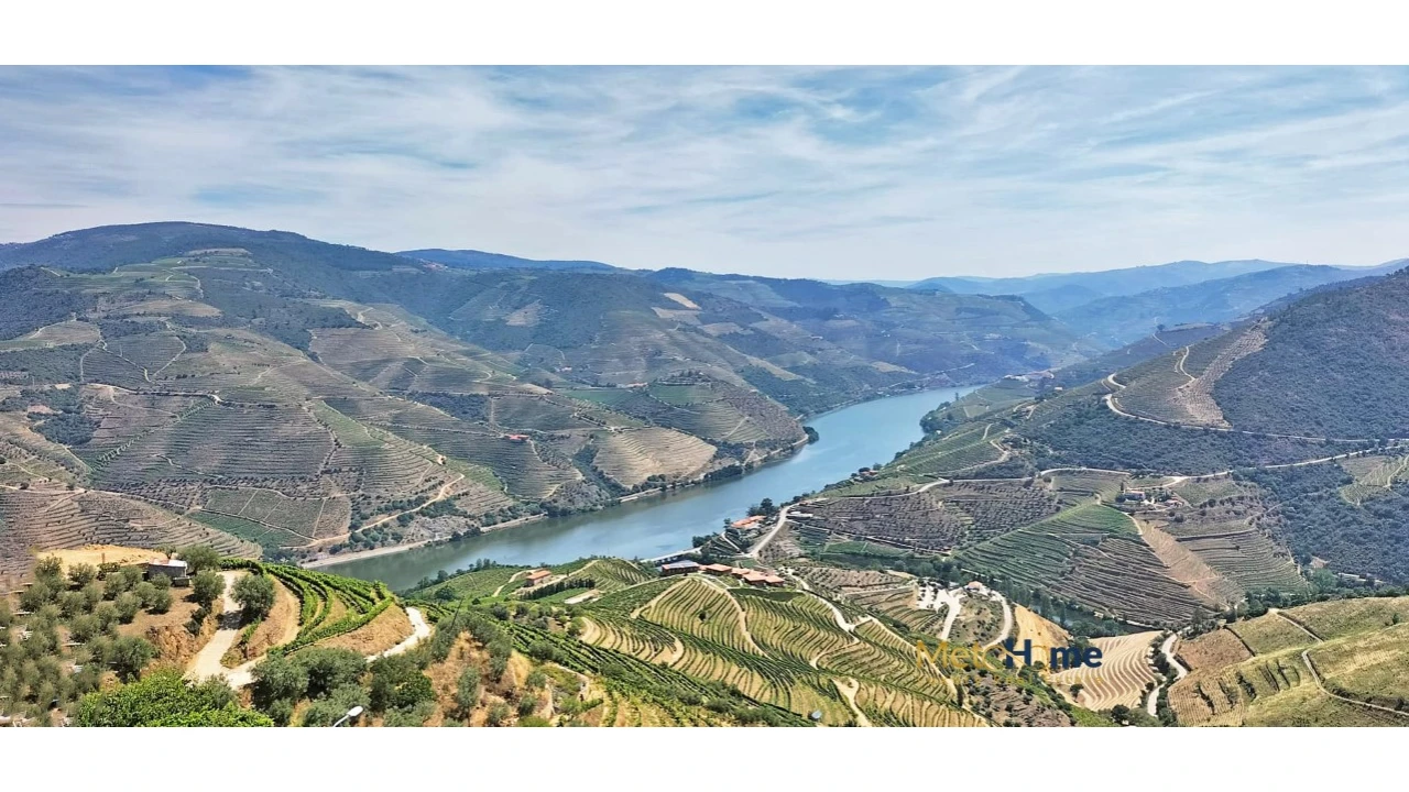 Terreno para Venda em Vila Seca e Santo Adrião Foto 1