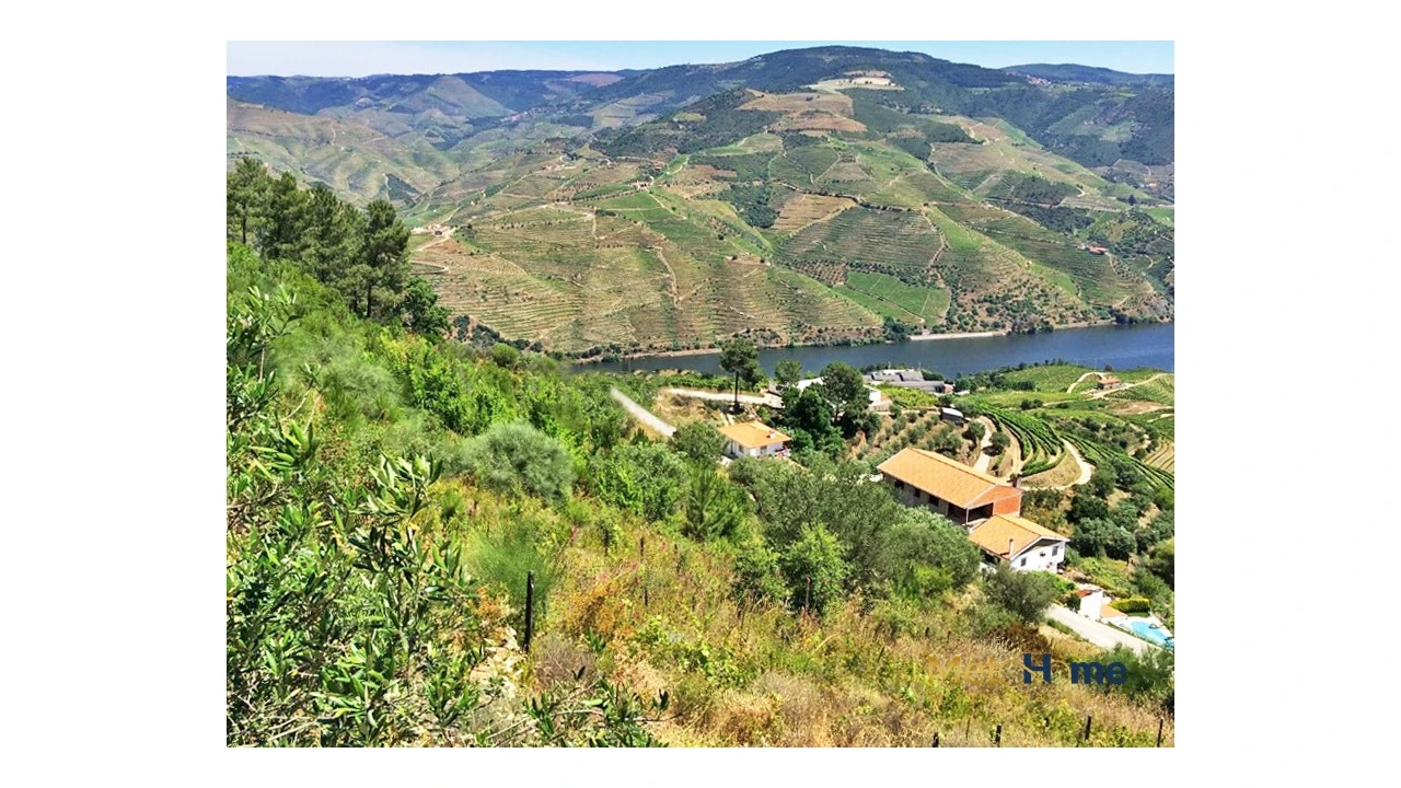 Terreno para Venda em Vila Seca e Santo Adrião Foto 2