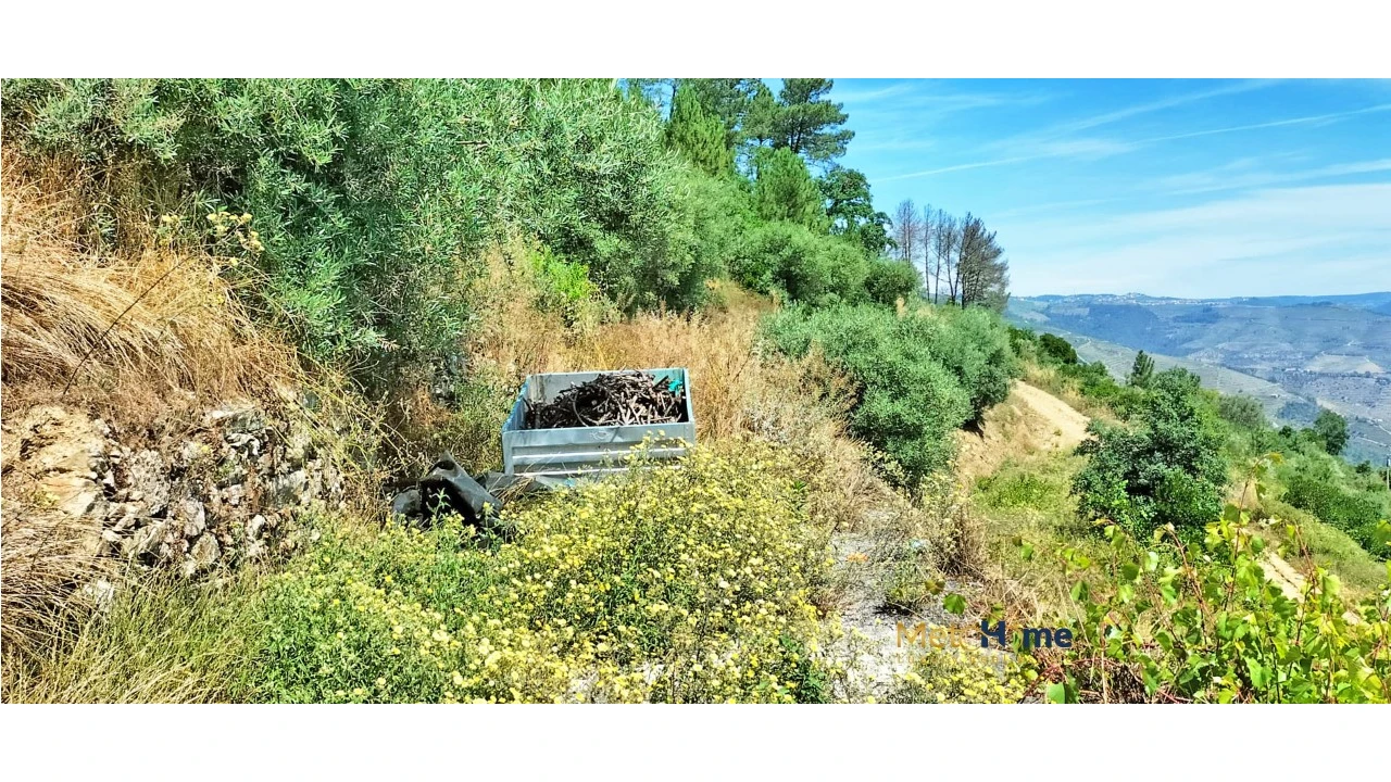 Terreno para Venda em Vila Seca e Santo Adrião Foto 10