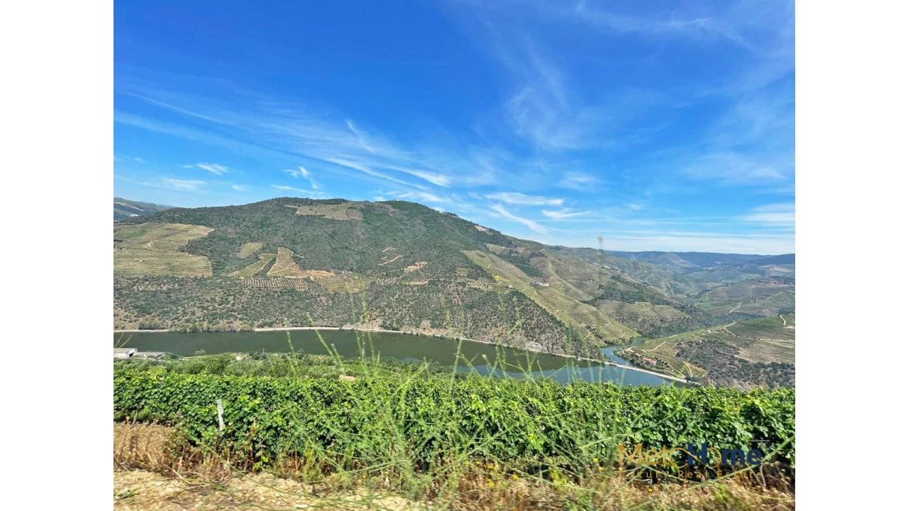 Terreno para Venda em Vila Seca e Santo Adrião Foto 13