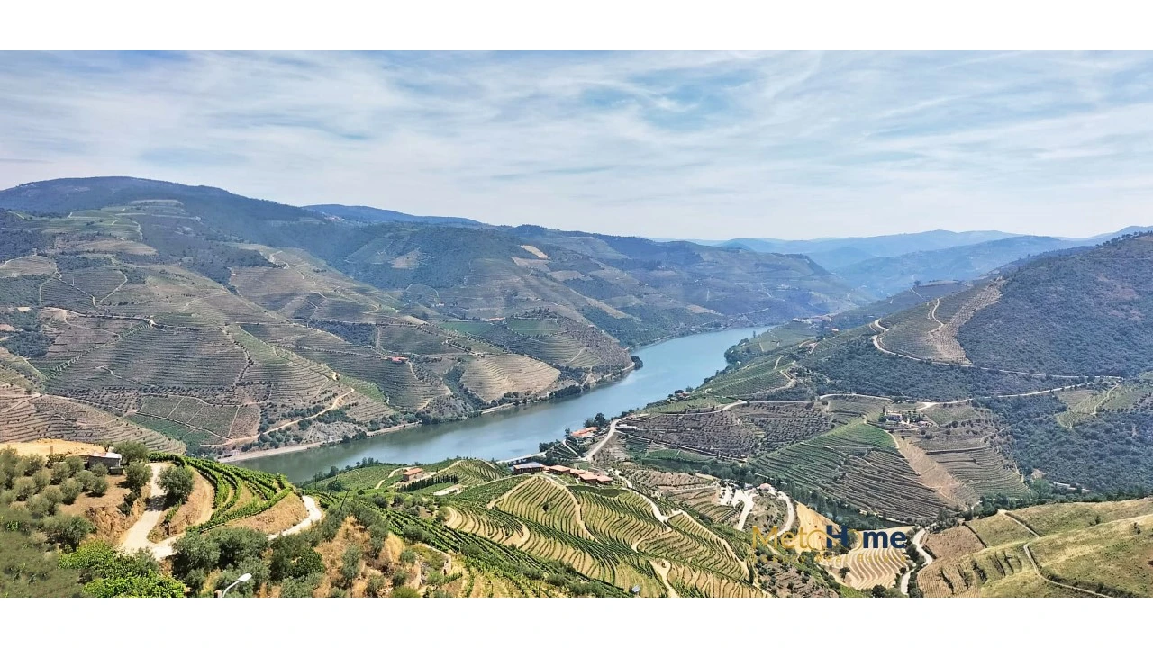 Terreno para Venda em Vila Seca e Santo Adrião Foto 20