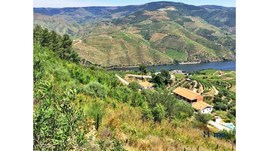 Terreno para Venda em Vila Seca e Santo Adrião Foto 2