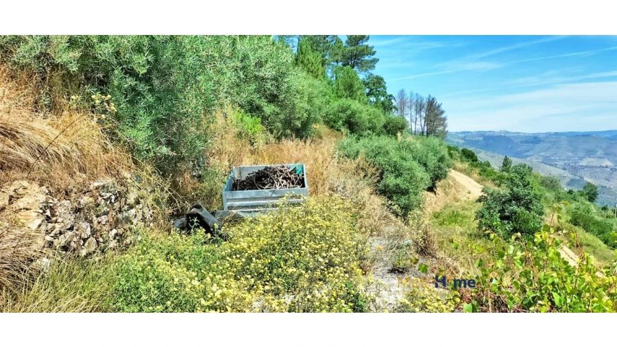 Terreno para Venda em Vila Seca e Santo Adrião Foto 10
