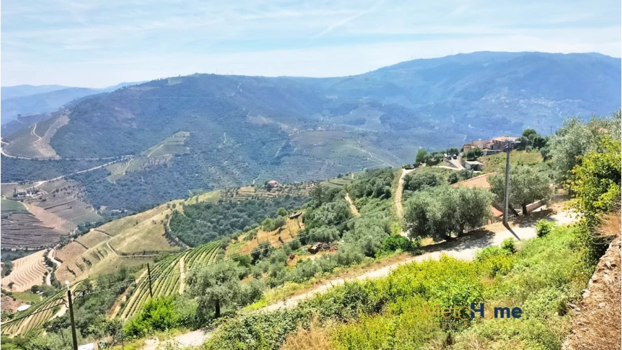 Terreno para Venda em Vila Seca e Santo Adrião Foto 11