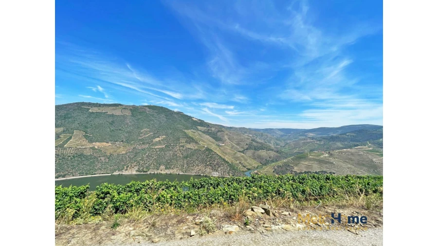 Terreno para Venda em Vila Seca e Santo Adrião Foto 12