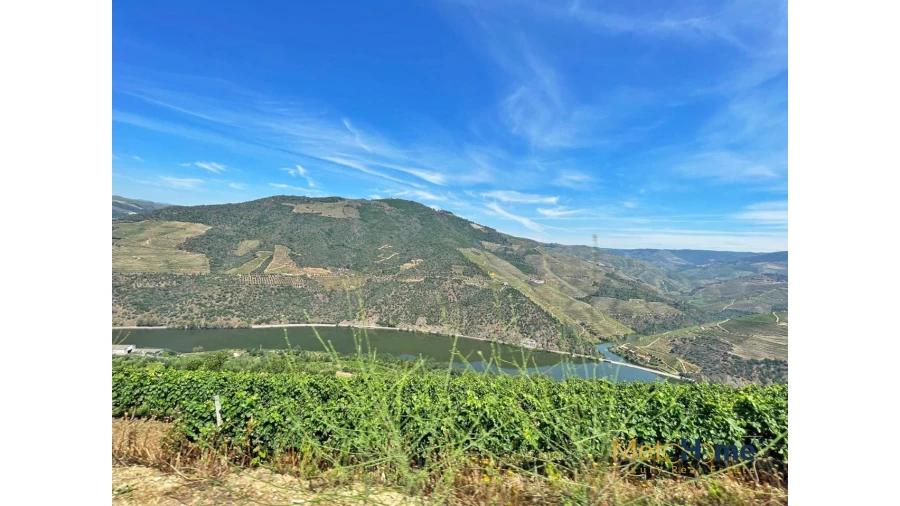 Terreno para Venda em Vila Seca e Santo Adrião Foto 13