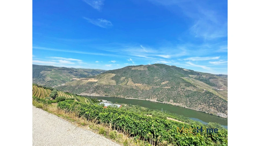 Terreno para Venda em Vila Seca e Santo Adrião Foto 15