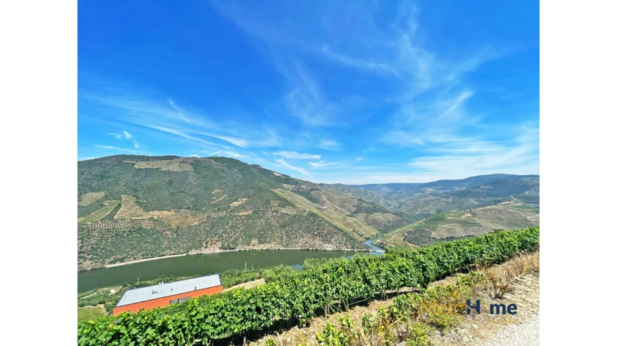 Terreno para Venda em Vila Seca e Santo Adrião Foto 16
