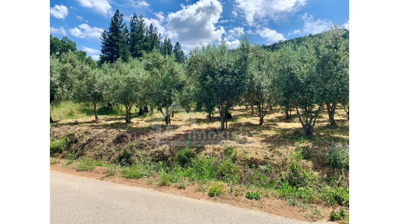 Terreno para Venda em Chão de Couce Foto 14