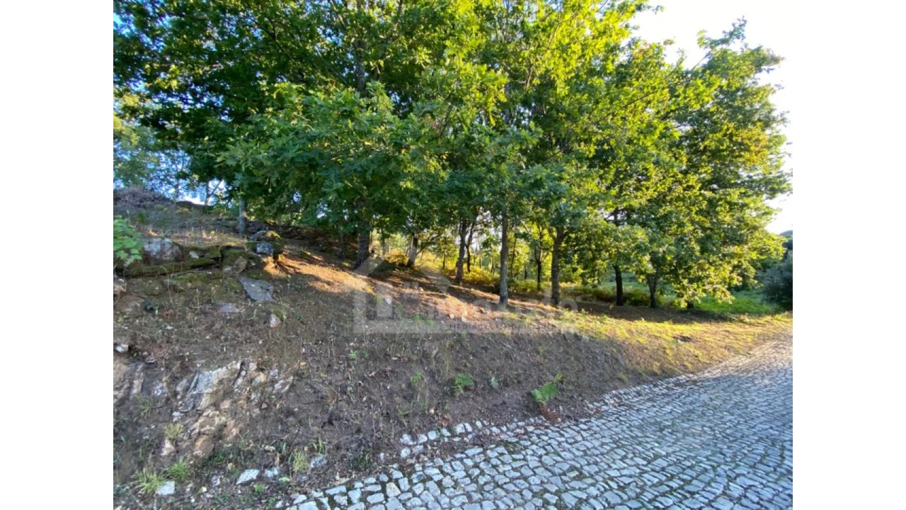 Moradia T2 para Venda em Figueiró dos Vinhos e Bairradas Foto 14