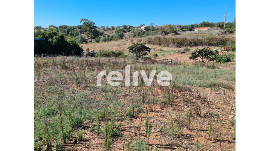 Terreno para Venda em Santiago do Cacém, Santa Cruz e São Bartolomeu da Serra Foto 11