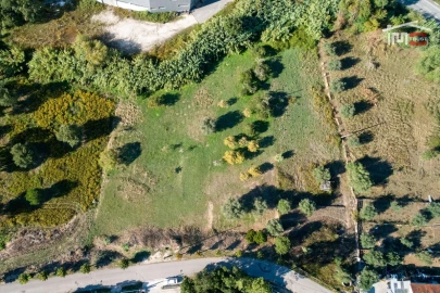 Terreno Agricola ou Rústico para Venda em Nossa Senhora da Piedade