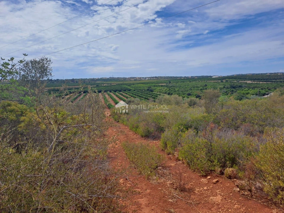 Terreno Agricola ou Rústico para Venda em Alcantarilha e Pêra Foto 3