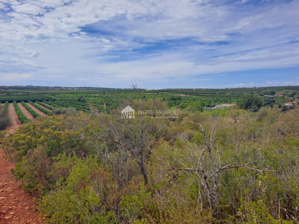Terreno Agricola ou Rústico para Venda em Alcantarilha e Pêra Foto 5