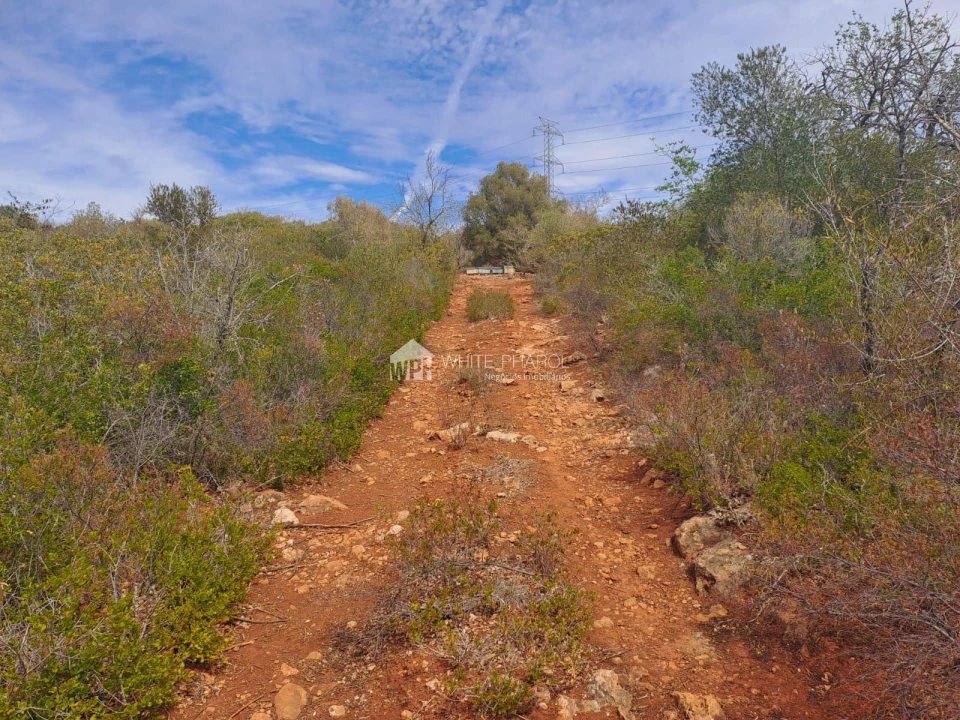 Terreno Agricola ou Rústico para Venda em Alcantarilha e Pêra Foto 6