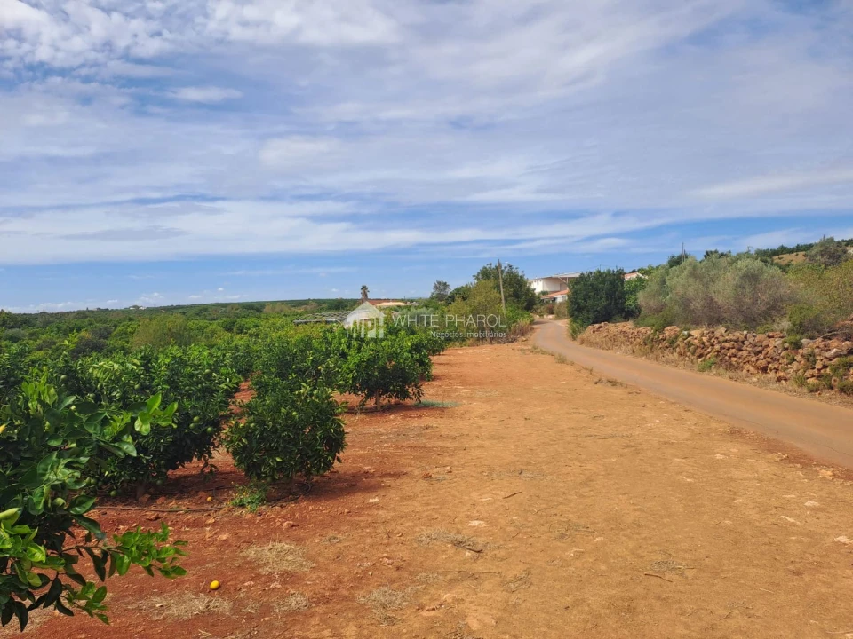 Terreno Agricola ou Rústico para Venda em Alcantarilha e Pêra Foto 8