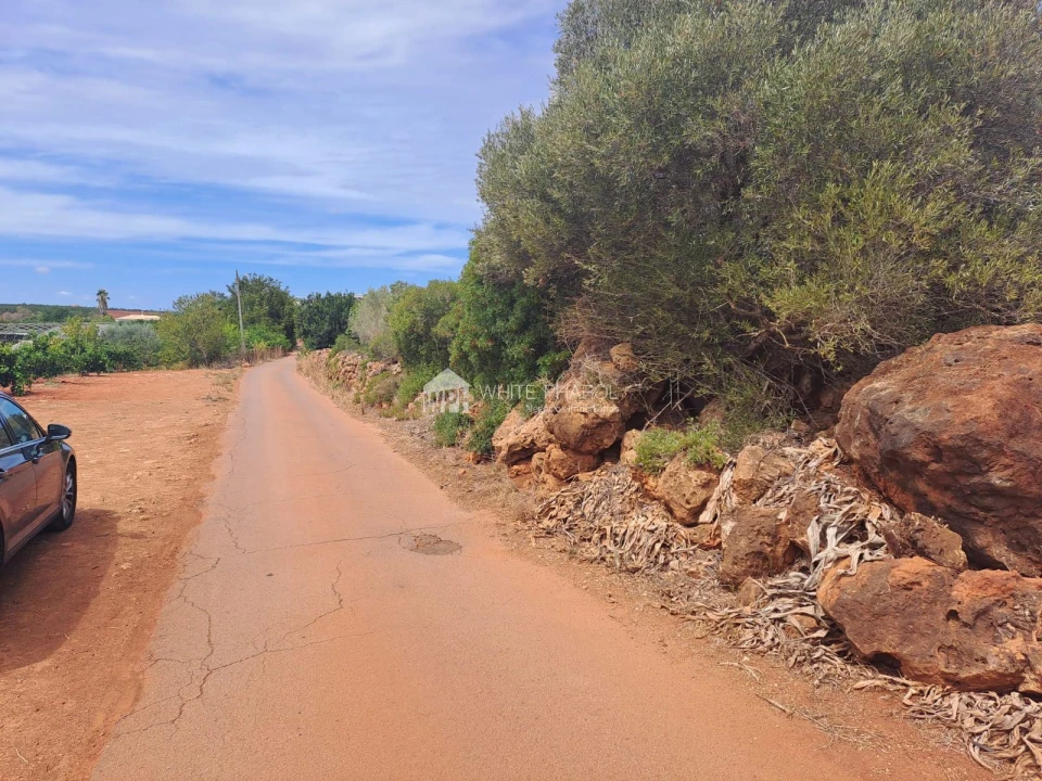 Terreno Agricola ou Rústico para Venda em Alcantarilha e Pêra Foto 9