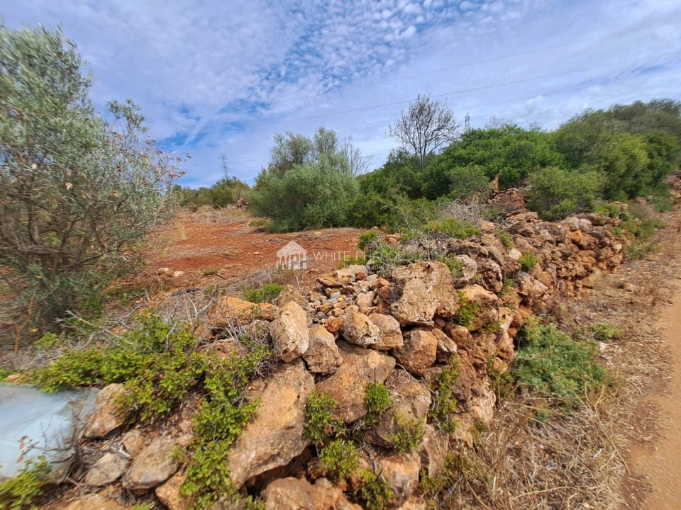 Terreno Agricola ou Rústico para Venda em Alcantarilha e Pêra Foto 10