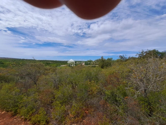Terreno Agricola ou Rústico para Venda em Alcantarilha e Pêra Foto 2