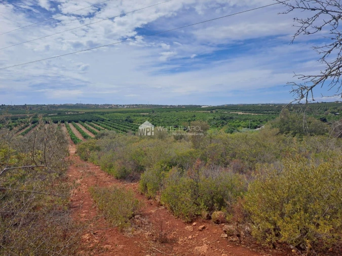 Terreno Agricola ou Rústico para Venda em Alcantarilha e Pêra Foto 4