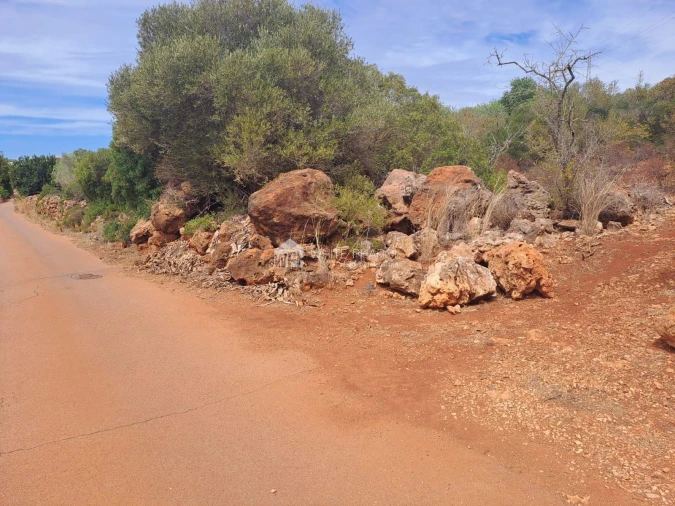 Terreno Agricola ou Rústico para Venda em Alcantarilha e Pêra Foto 7