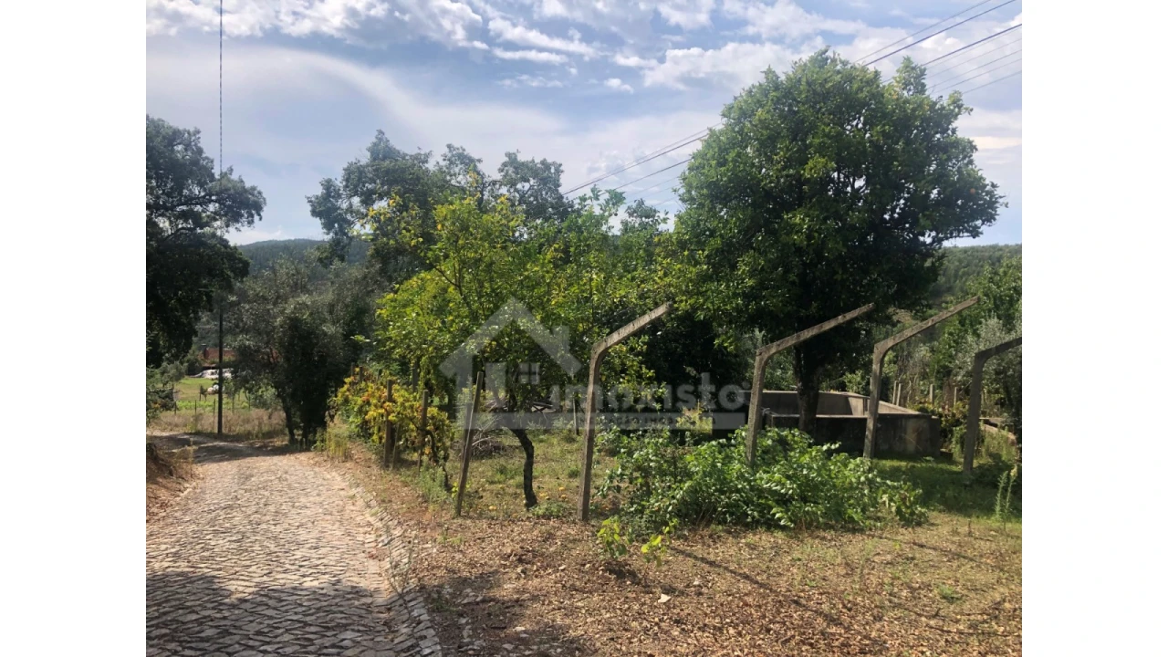 Quinta T1 para Venda em Figueiró dos Vinhos e Bairradas Foto 2