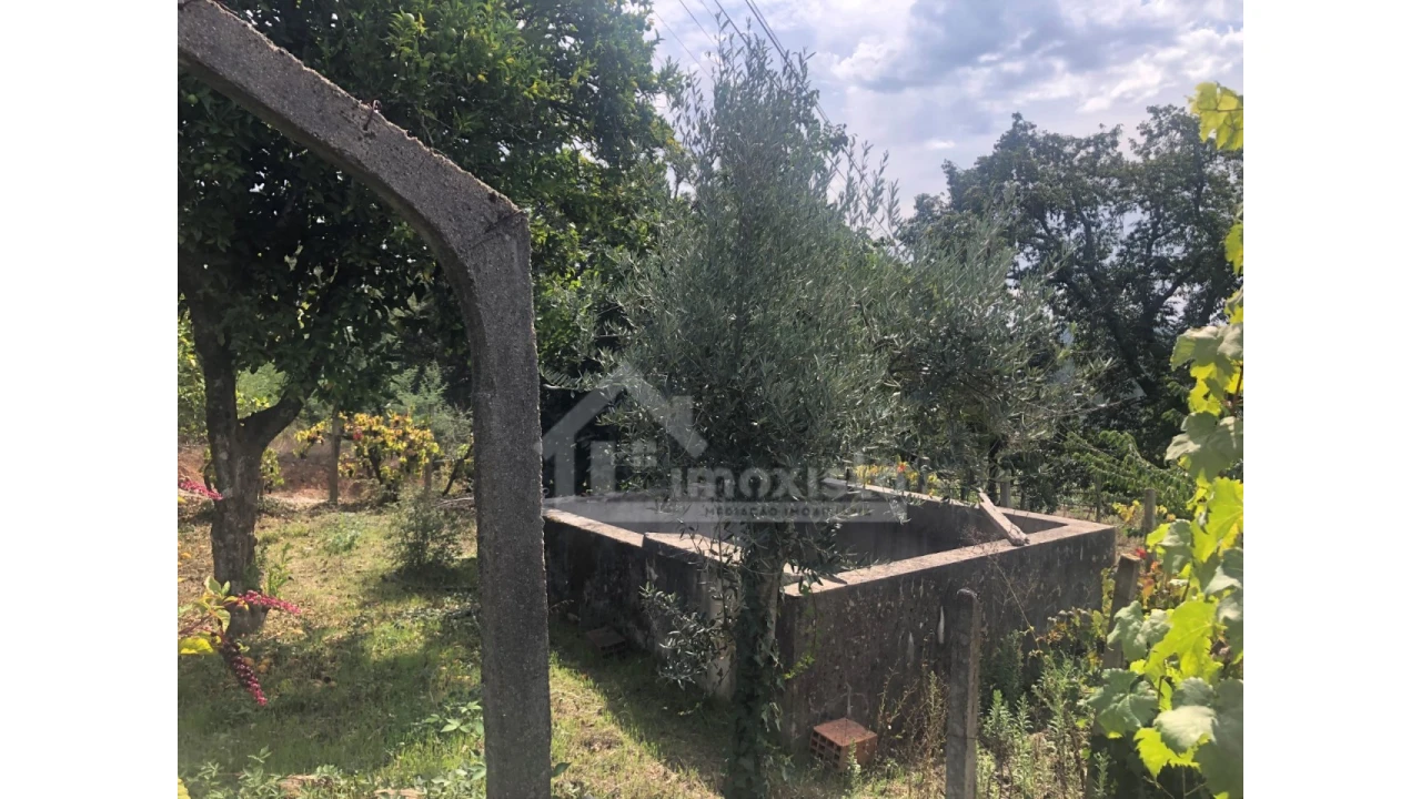 Quinta T1 para Venda em Figueiró dos Vinhos e Bairradas Foto 3