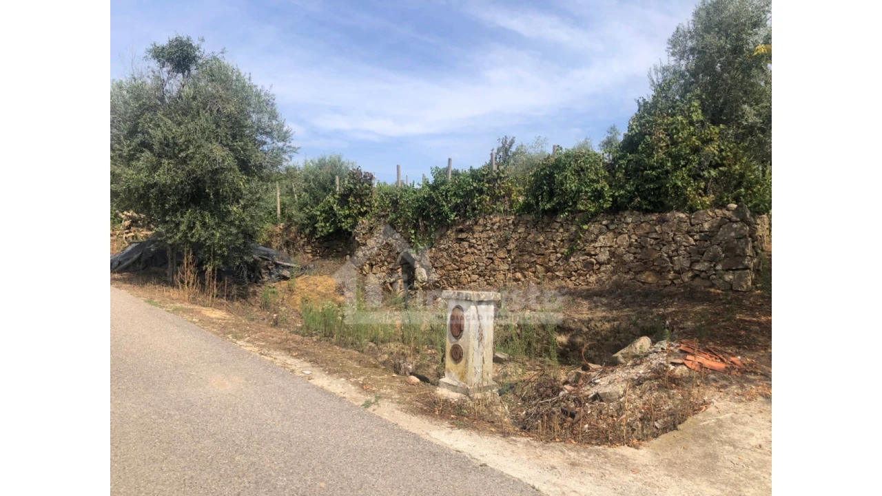 Quinta T1 para Venda em Figueiró dos Vinhos e Bairradas Foto 7