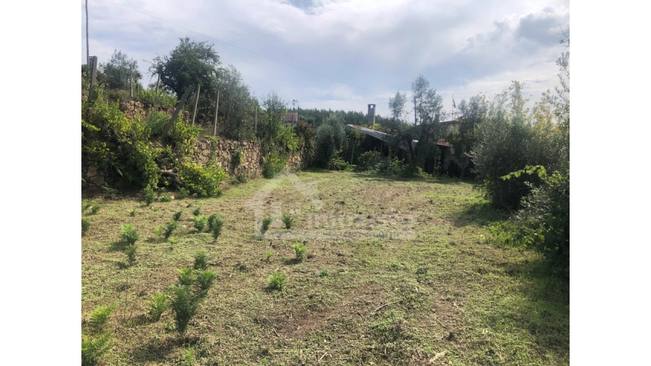 Quinta T1 para Venda em Figueiró dos Vinhos e Bairradas Foto 8
