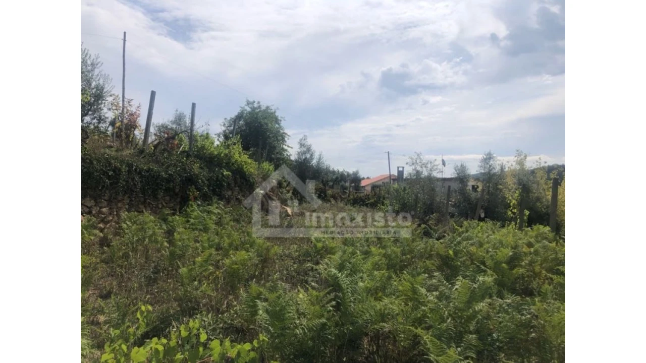 Quinta T1 para Venda em Figueiró dos Vinhos e Bairradas Foto 10