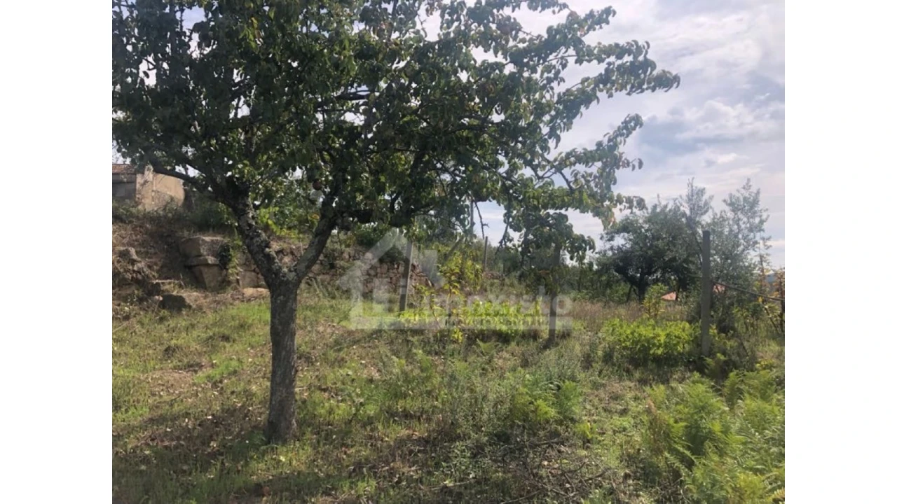 Quinta T1 para Venda em Figueiró dos Vinhos e Bairradas Foto 11