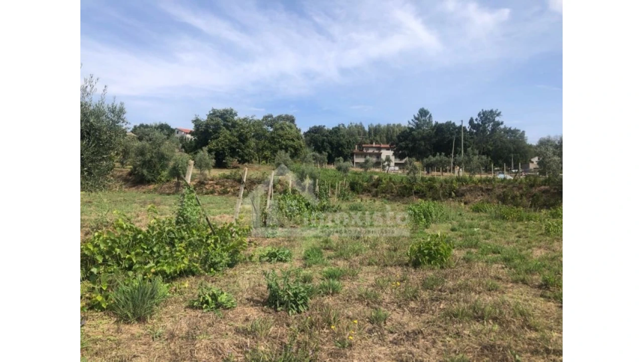 Quinta T1 para Venda em Figueiró dos Vinhos e Bairradas Foto 12