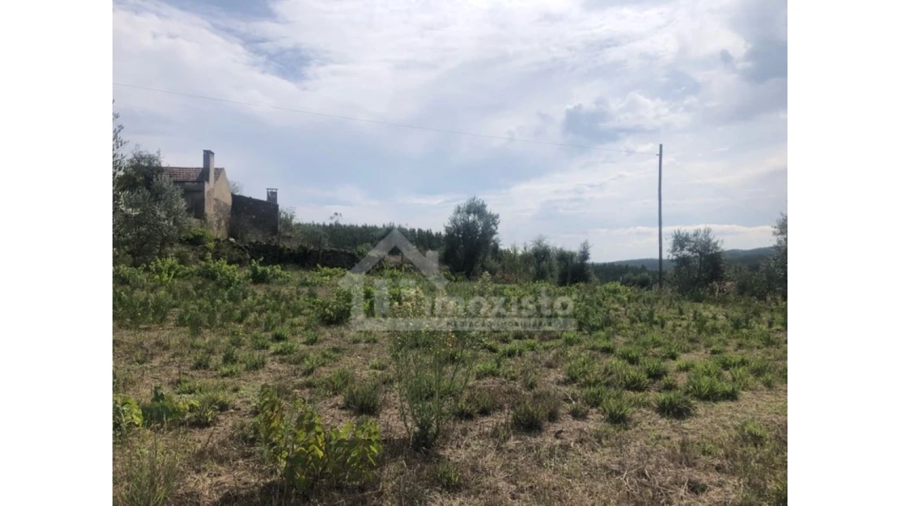 Quinta T1 para Venda em Figueiró dos Vinhos e Bairradas Foto 13