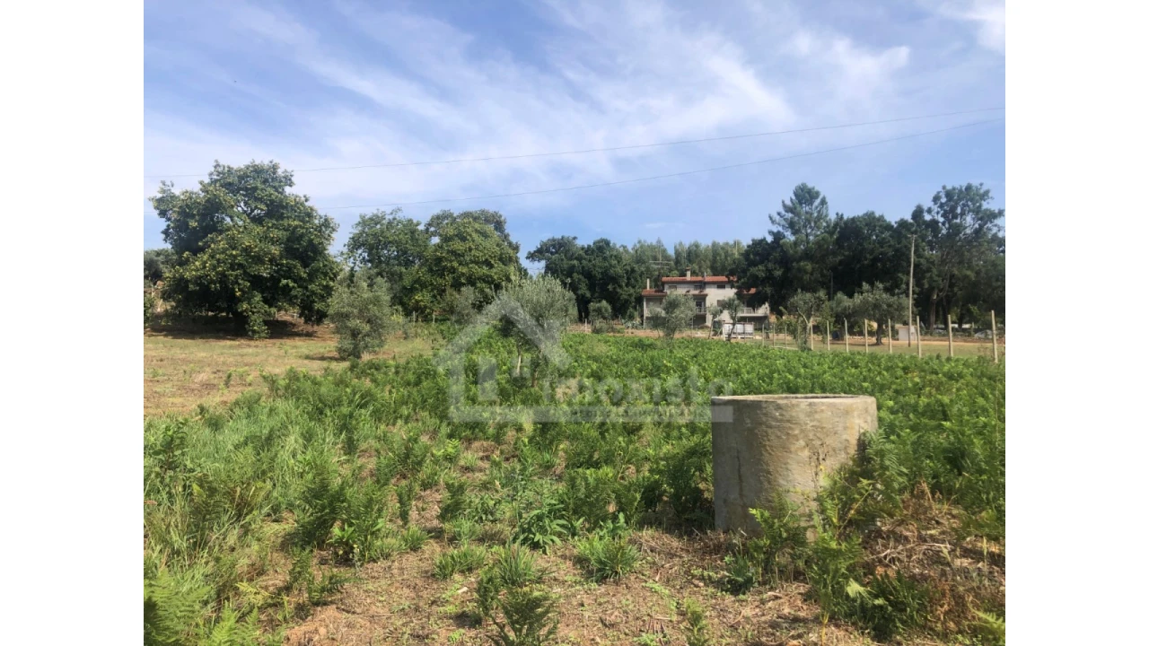 Quinta T1 para Venda em Figueiró dos Vinhos e Bairradas Foto 14