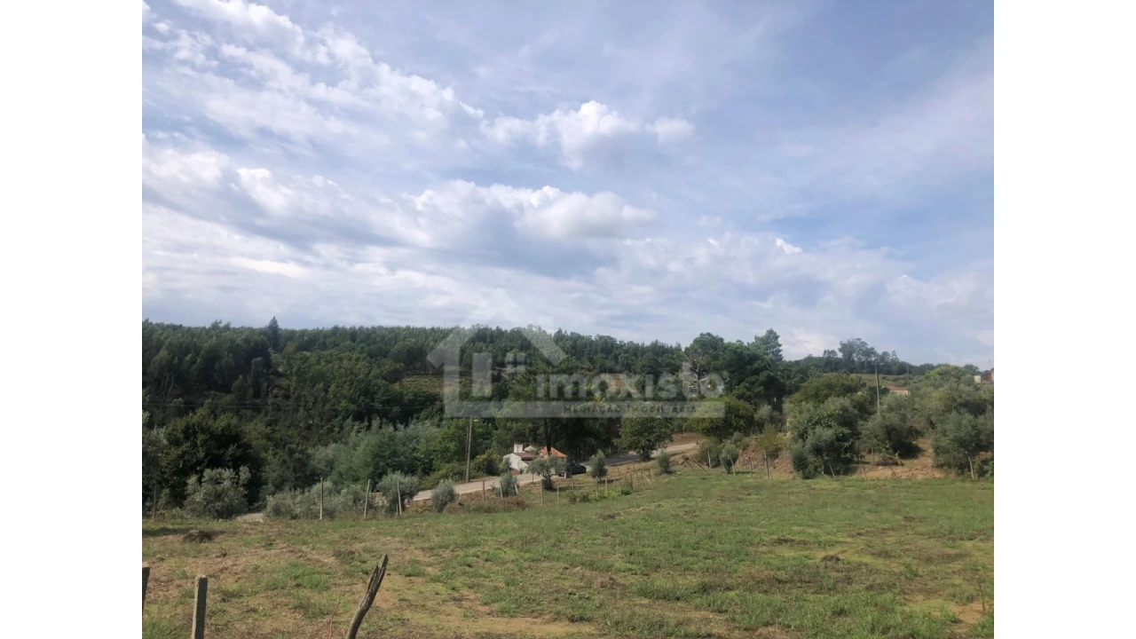 Quinta T1 para Venda em Figueiró dos Vinhos e Bairradas Foto 17