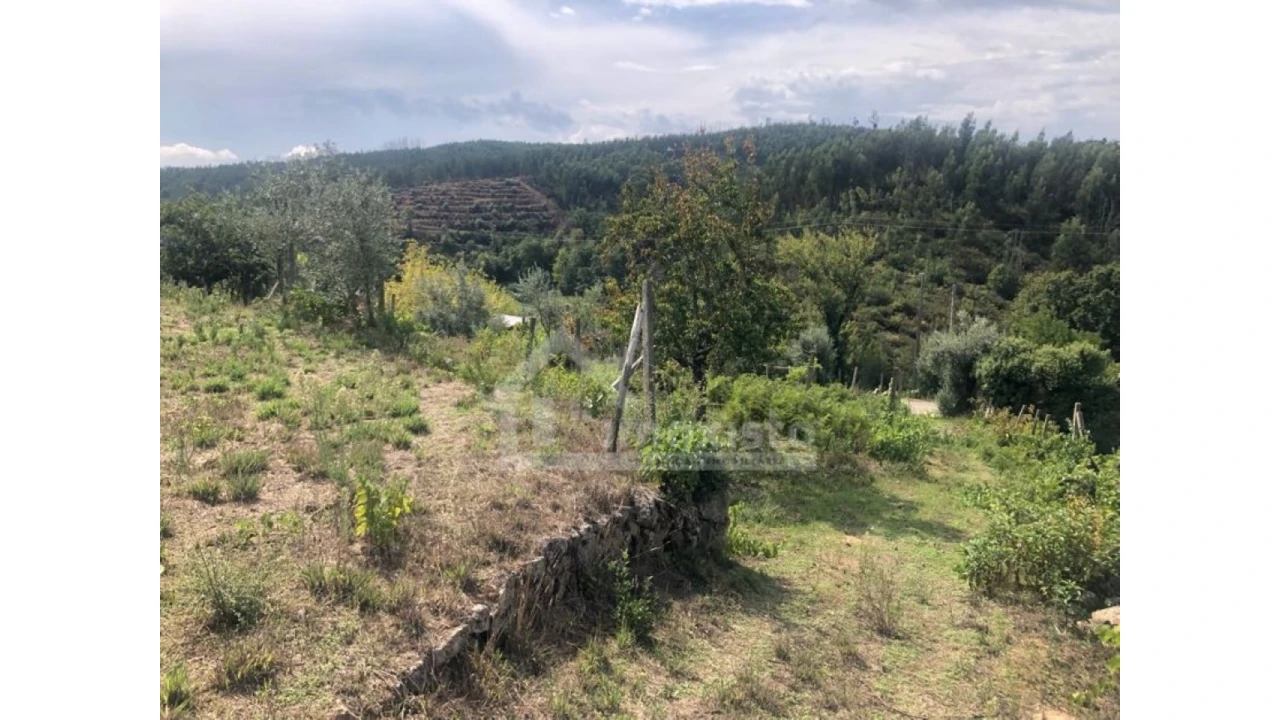 Quinta T1 para Venda em Figueiró dos Vinhos e Bairradas Foto 18