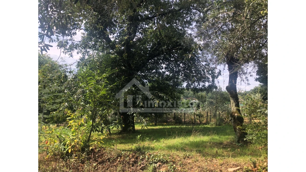 Quinta T1 para Venda em Figueiró dos Vinhos e Bairradas Foto 19