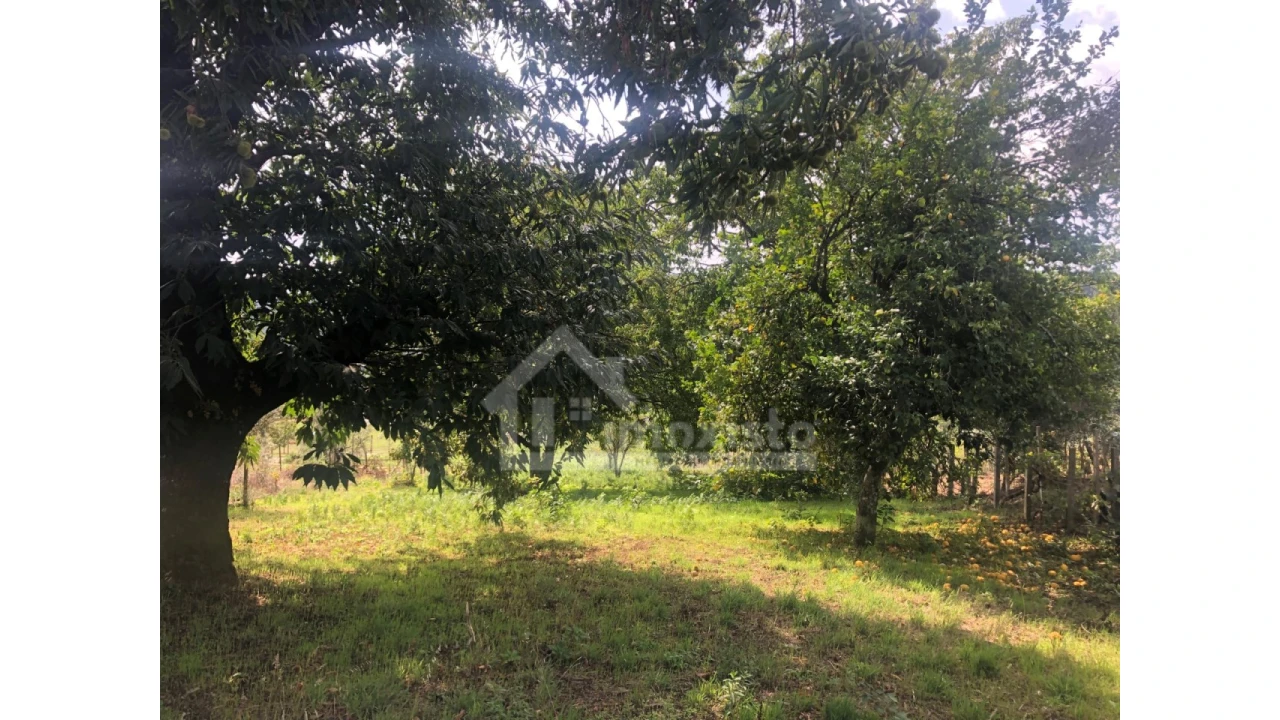 Quinta T1 para Venda em Figueiró dos Vinhos e Bairradas Foto 20