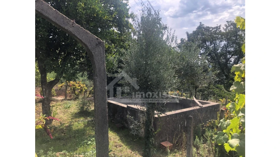 Quinta T1 para Venda em Figueiró dos Vinhos e Bairradas Foto 3