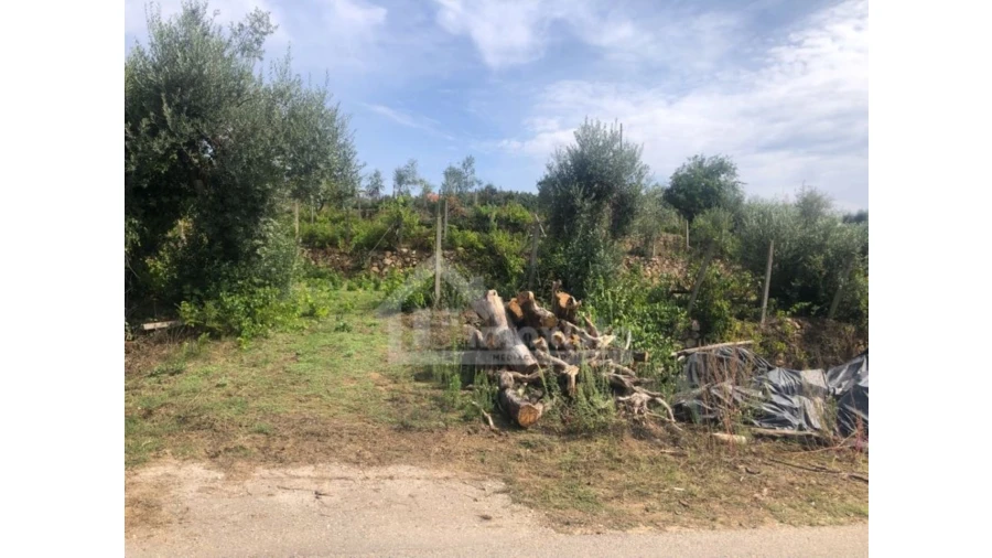 Quinta T1 para Venda em Figueiró dos Vinhos e Bairradas Foto 6