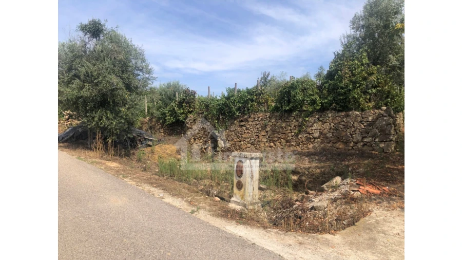 Quinta T1 para Venda em Figueiró dos Vinhos e Bairradas Foto 7
