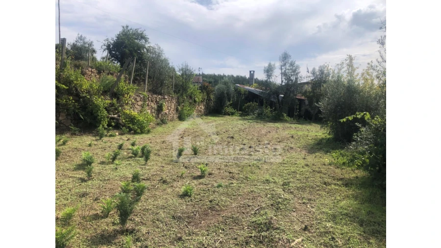 Quinta T1 para Venda em Figueiró dos Vinhos e Bairradas Foto 8