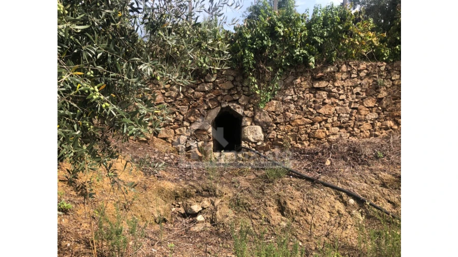 Quinta T1 para Venda em Figueiró dos Vinhos e Bairradas Foto 9