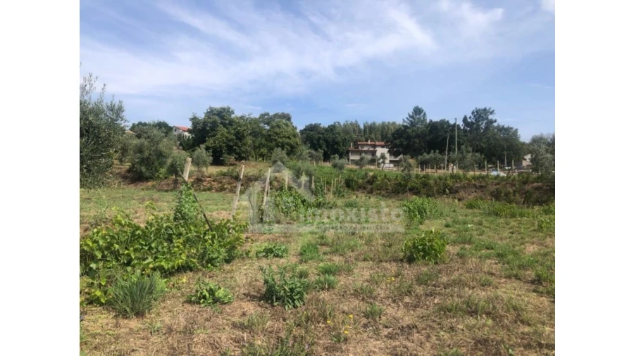 Quinta T1 para Venda em Figueiró dos Vinhos e Bairradas Foto 12