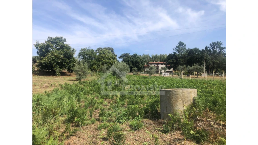 Quinta T1 para Venda em Figueiró dos Vinhos e Bairradas Foto 14